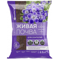 Грунт 